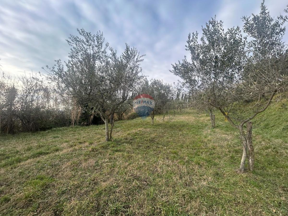 Zemljište Na prodaju - Istarska Buje - foto 3/3