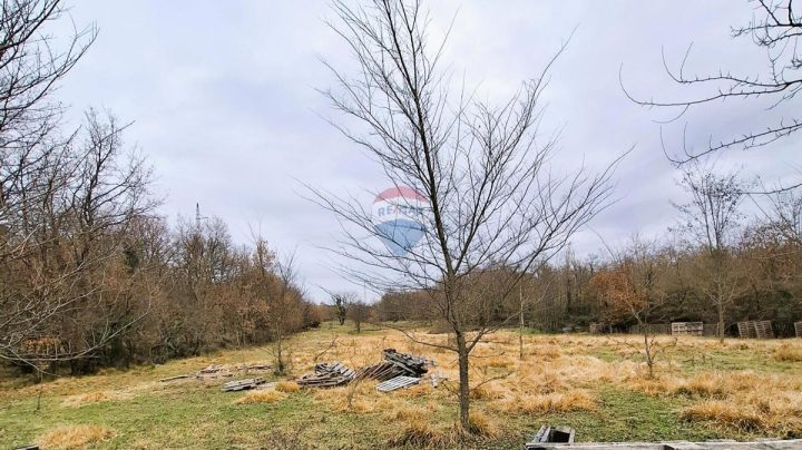 Terrain à vendre 9862 m² – Brtonigla