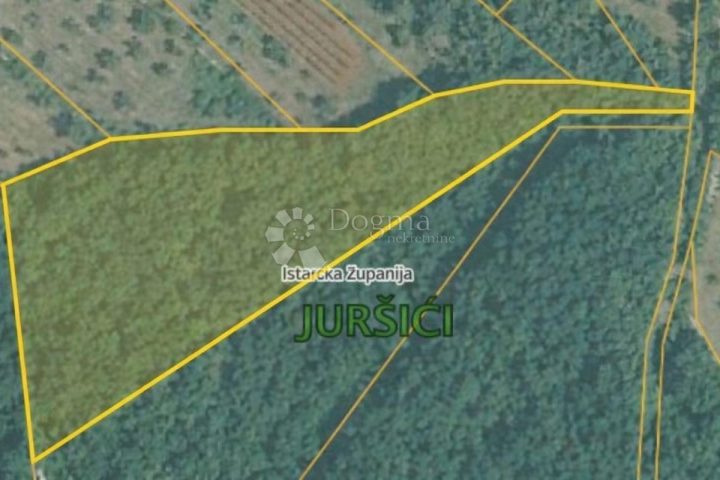 Pozemek na prodej 5478 m² – Svetvinčenat
