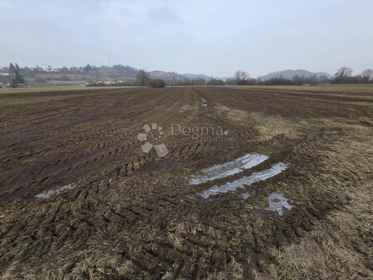 Pozemek Na prodej LUKA