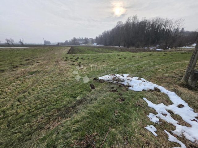 Terreno in vendita 3766 m² – Luka