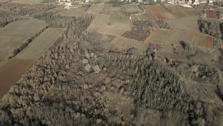 Grundstück zu verkaufen 47418 m² – Poreč