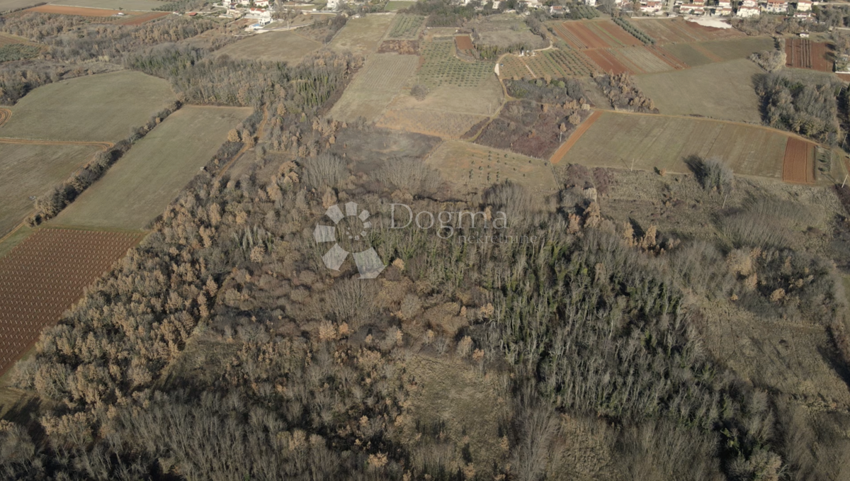 Land For sale - Istarska Poreč - foto 1/9