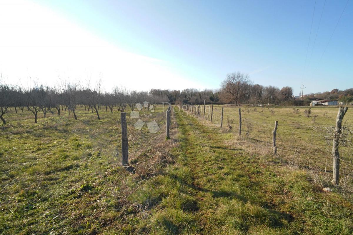 Land For sale - Istarska Poreč - foto 2/9