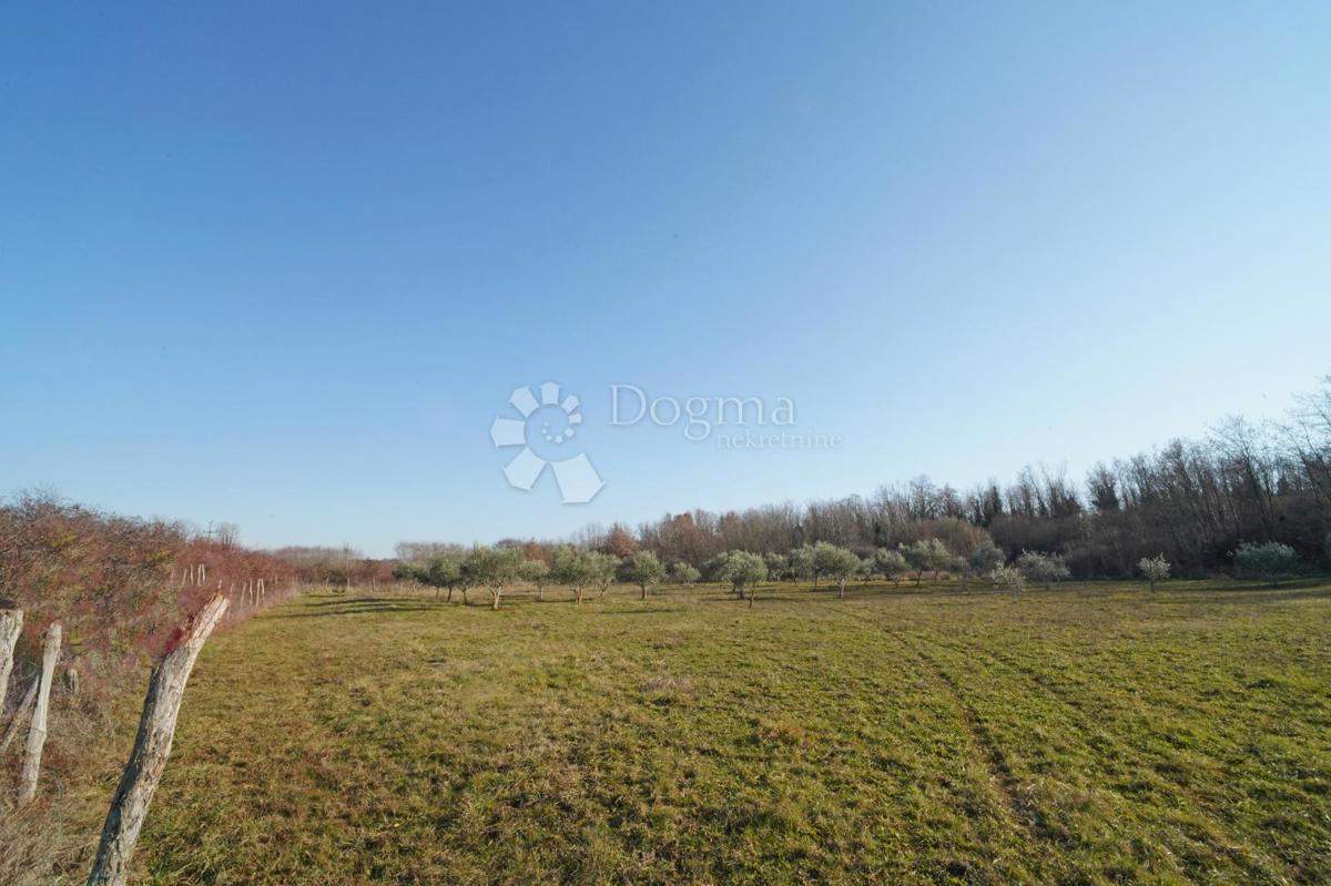 Land For sale - Istarska Poreč - foto 3/9