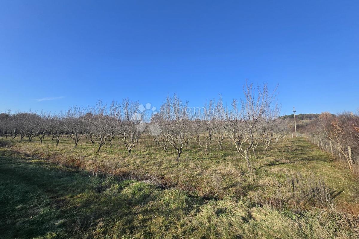Land For sale - Istarska Poreč - foto 4/9
