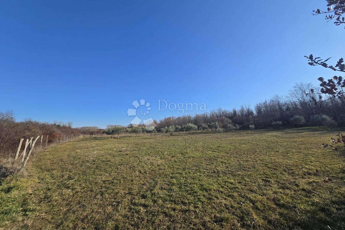 Land For sale - Istarska Poreč - foto 5/9