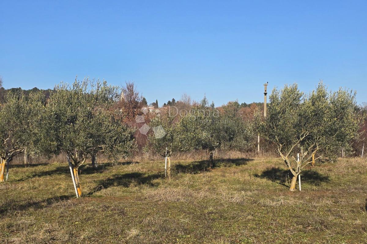 Land For sale - ISTARSKA POREČ