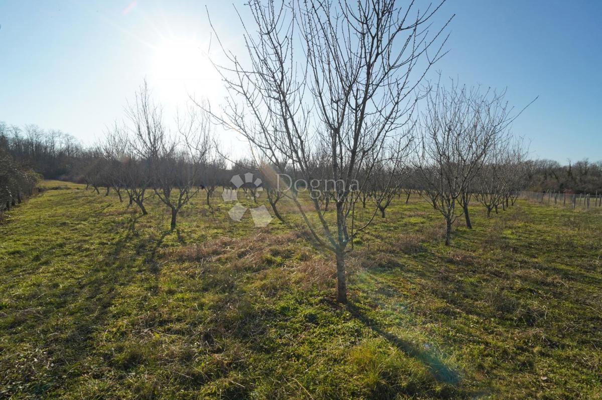 Land For sale - ISTARSKA POREČ