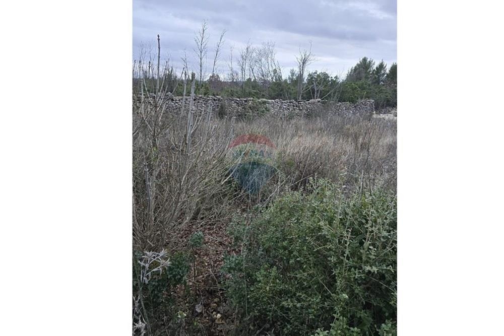 Land For sale - Zadarska Novigrad - foto 3/6
