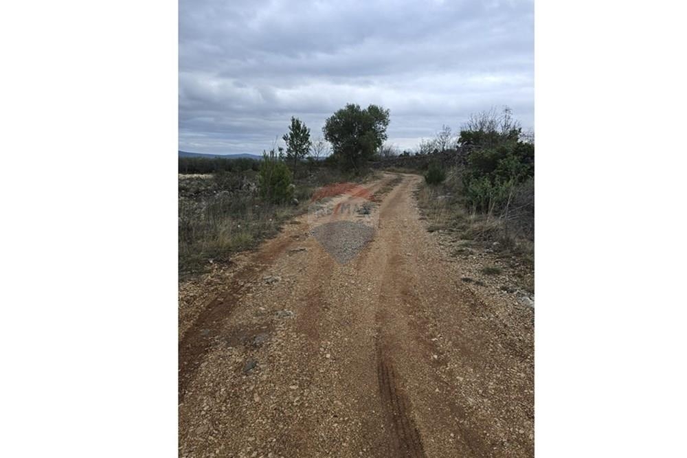 Land For sale - Zadarska Novigrad - foto 4/6