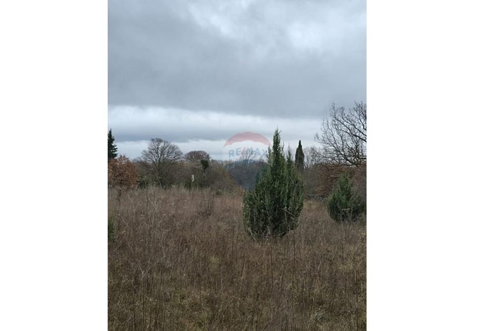 Land For sale - Zadarska Benkovac - foto 2/14