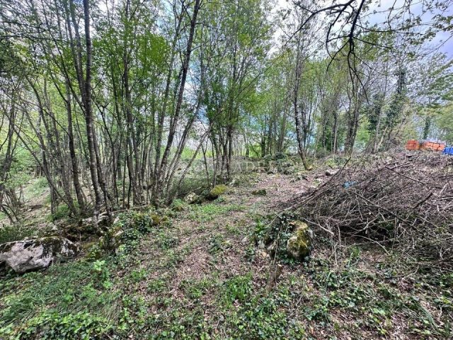 Pozemek na prodej 1589 m² – Matulji
