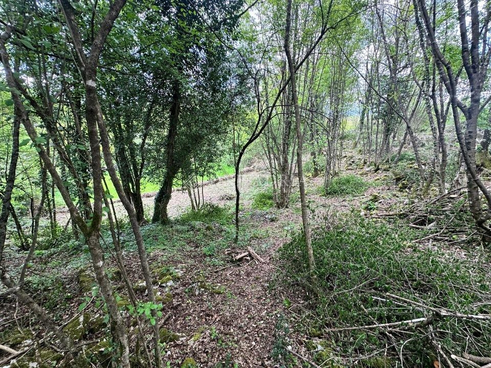 Działka Na sprzedaż - Primorsko-goranska Matulji - foto 2/3