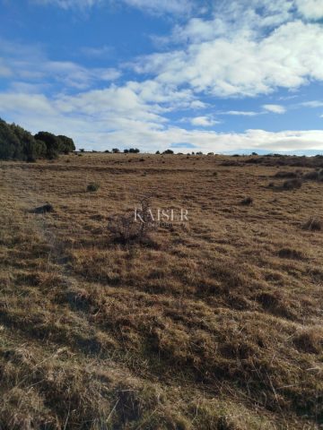 Pozemok na predaj 111715 m² – Mali Lošinj