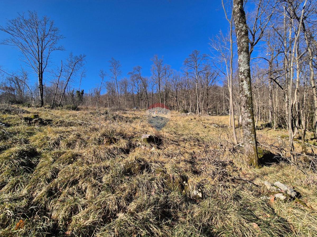 Land For sale - Primorsko-goranska Kastav - foto 2/4