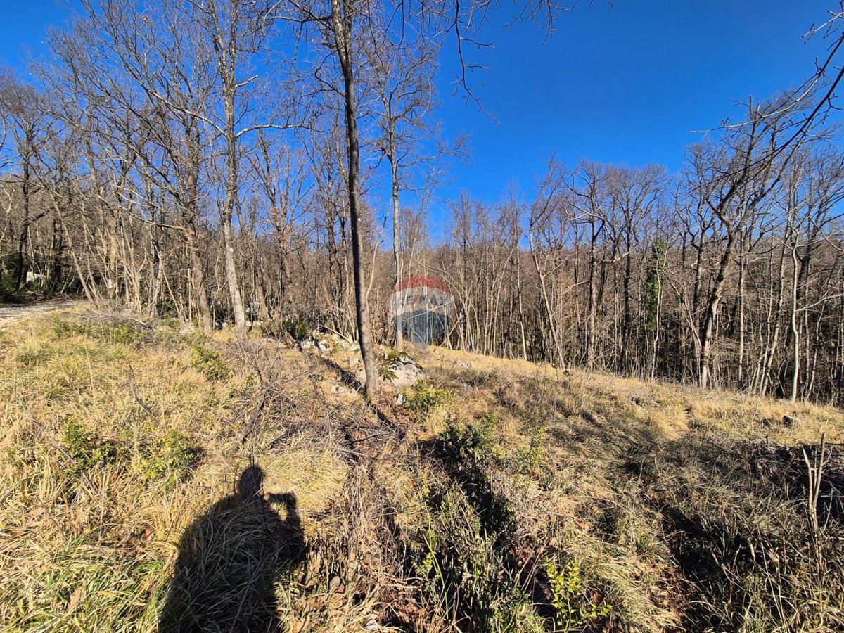 Land For sale - Primorsko-goranska Kastav - foto 3/4