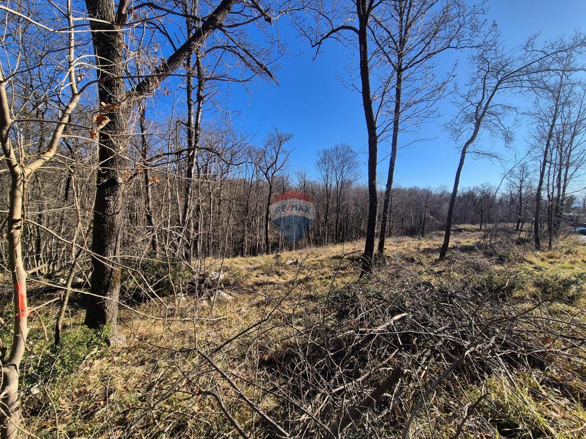 Land For sale - Primorsko-goranska Kastav - foto 4/4