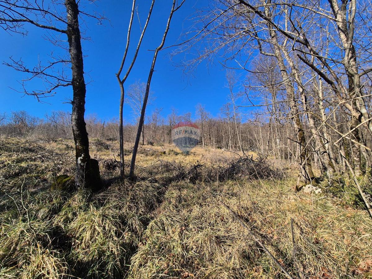 Pozemek Na prodej - PRIMORSKO-GORANSKA KASTAV