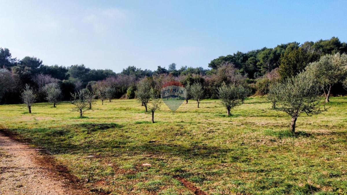 Land For sale - Istarska Rovinj - foto 1/2