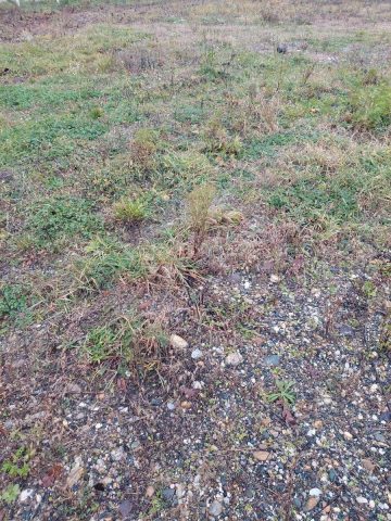Land For sale - Varaždinska Varaždin - foto 5/6