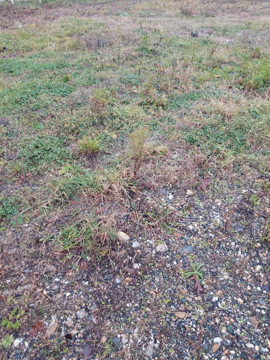 Zemljište Na prodaju - Varaždinska Varaždin - foto 5/6
