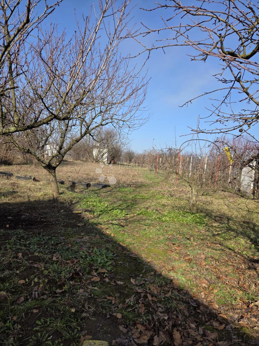 Haus Zu verkaufen - Osječko-baranjska Erdut - foto 4/17