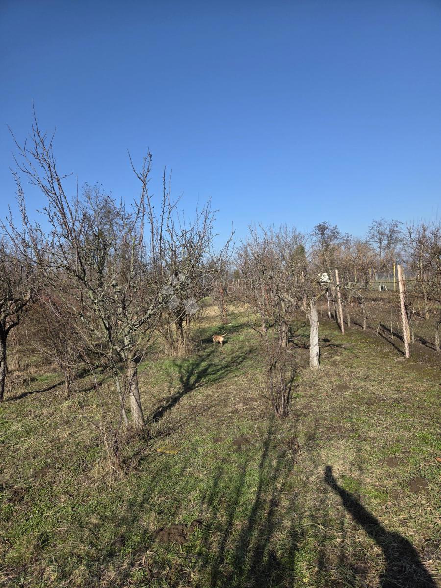 Haus Zu verkaufen - OSJEČKO-BARANJSKA ERDUT
