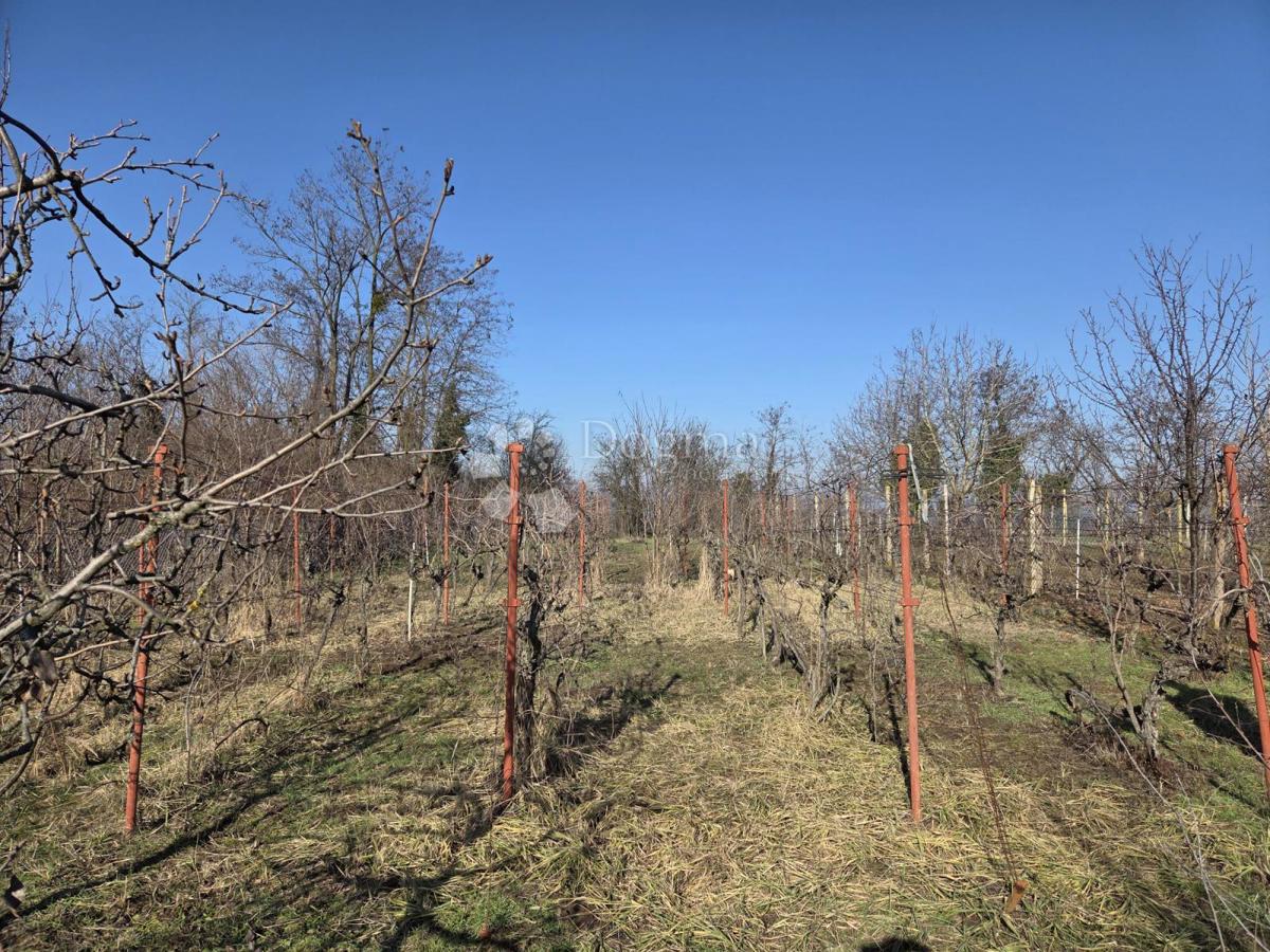 Haus Zu verkaufen - OSJEČKO-BARANJSKA ERDUT