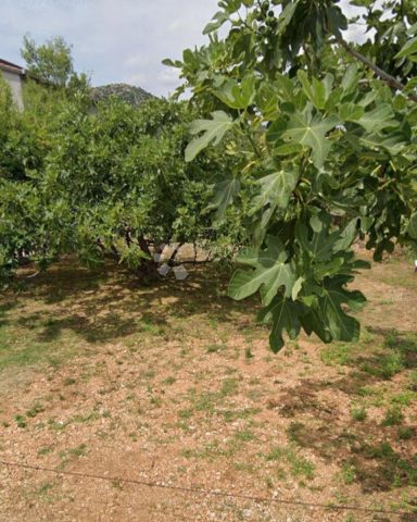 Pozemok na predaj 900 m² – Marina