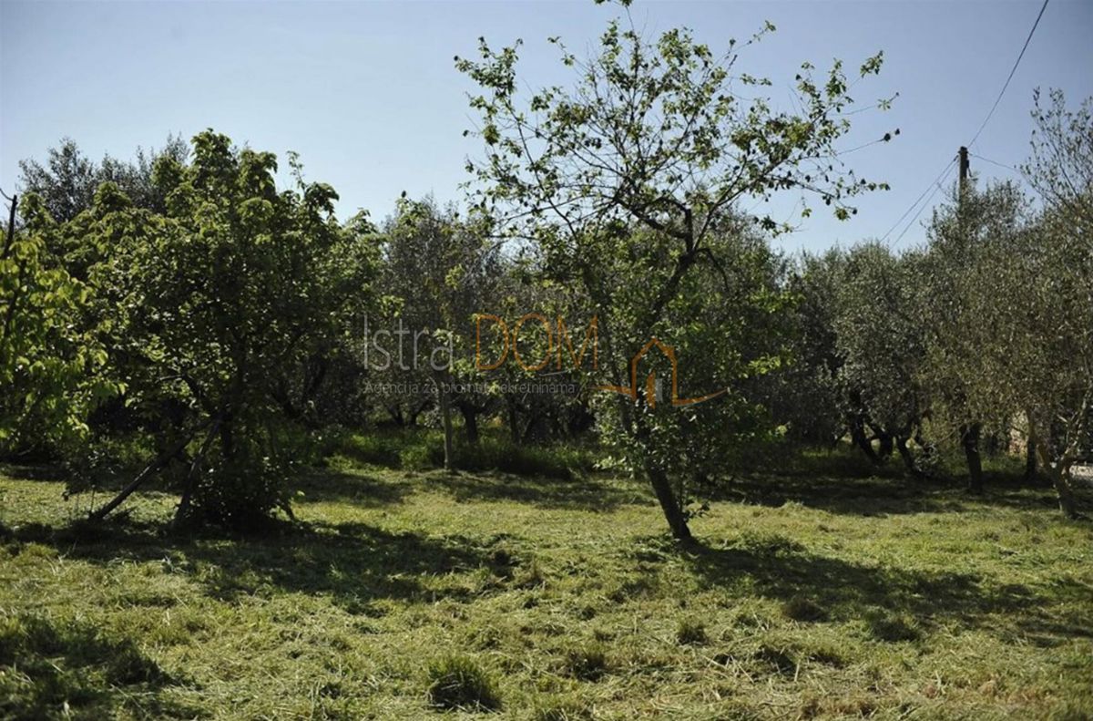 Terreno In vendita - Istarska Marčana - foto 1/3
