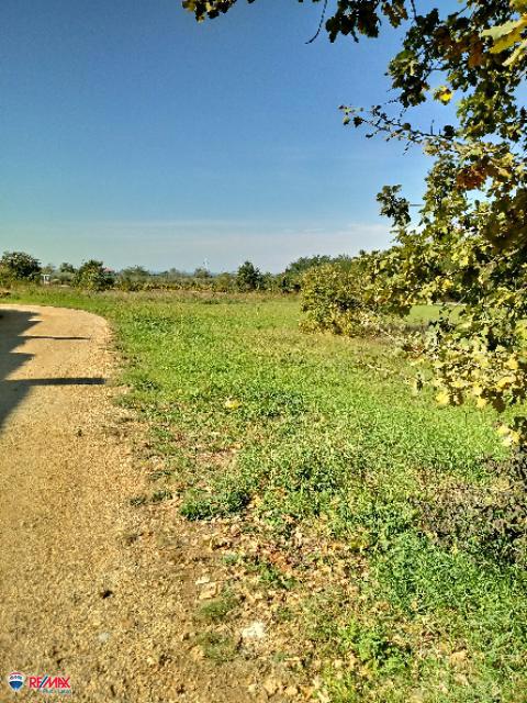 Land For sale - Istarska Poreč - foto 1/5