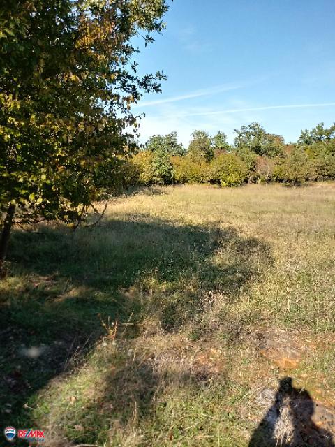 Land For sale - Istarska Poreč - foto 2/5