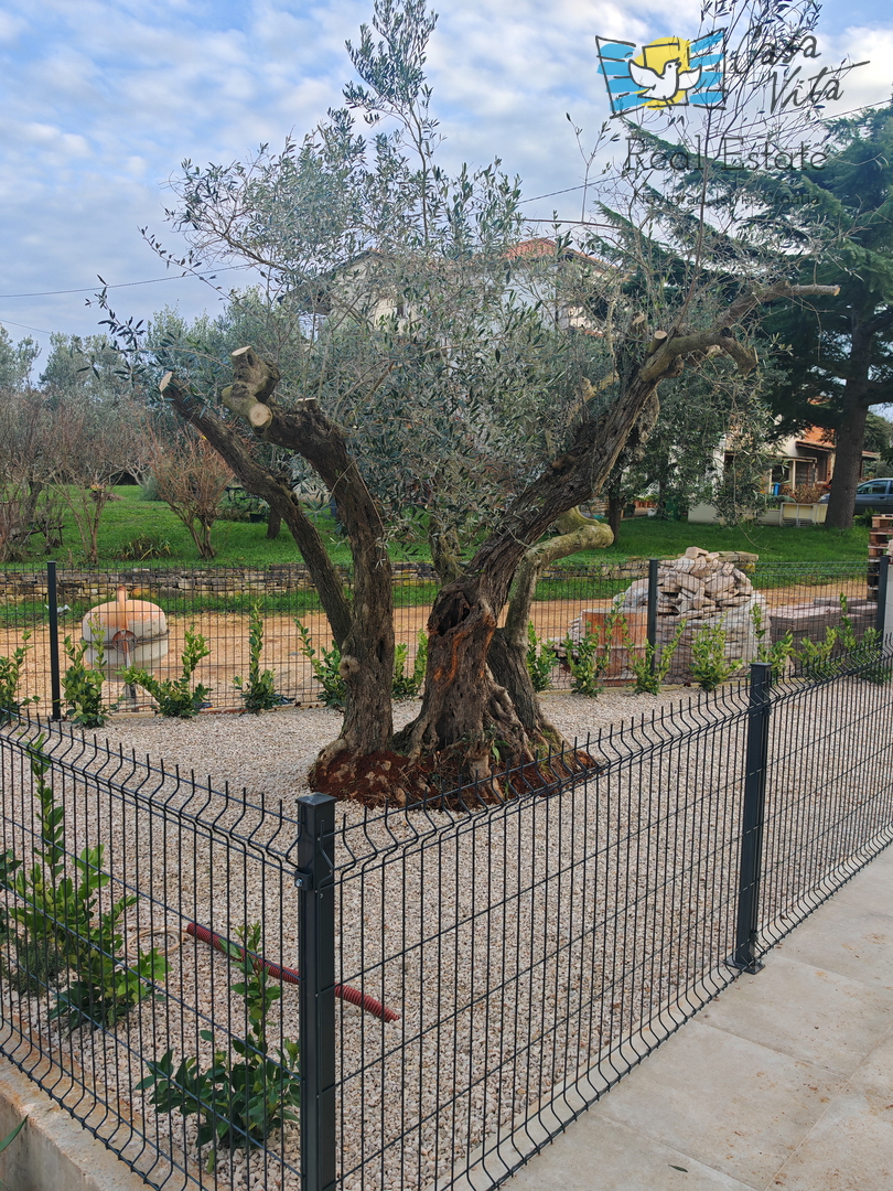 House For sale - ISTARSKA NOVIGRAD