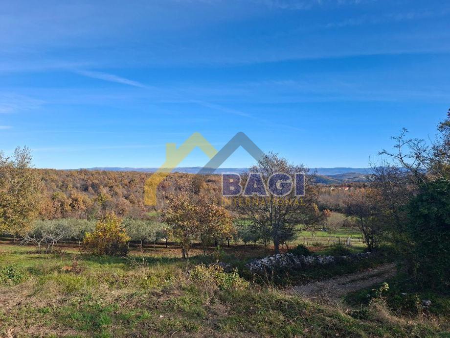 Land For sale - ISTARSKA VIŽINADA