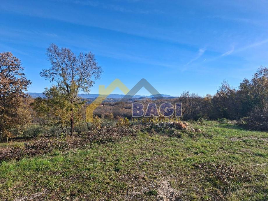Land For sale - ISTARSKA VIŽINADA