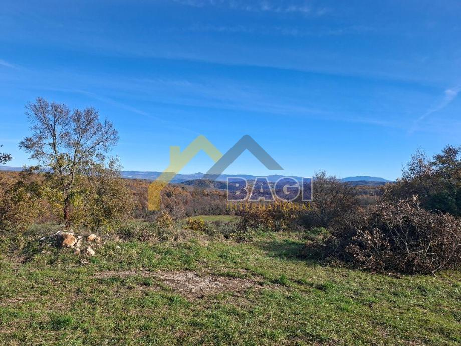 Land For sale - ISTARSKA VIŽINADA