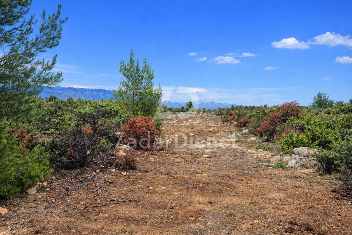Land For sale - ZADARSKA RAŽANAC