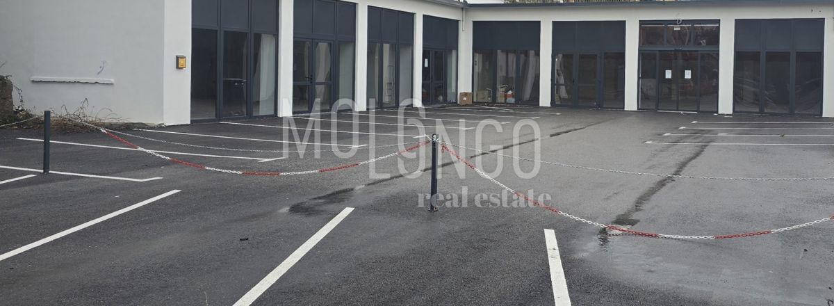 Komerčné Na predaj - PRIMORSKO-GORANSKA OPATIJA