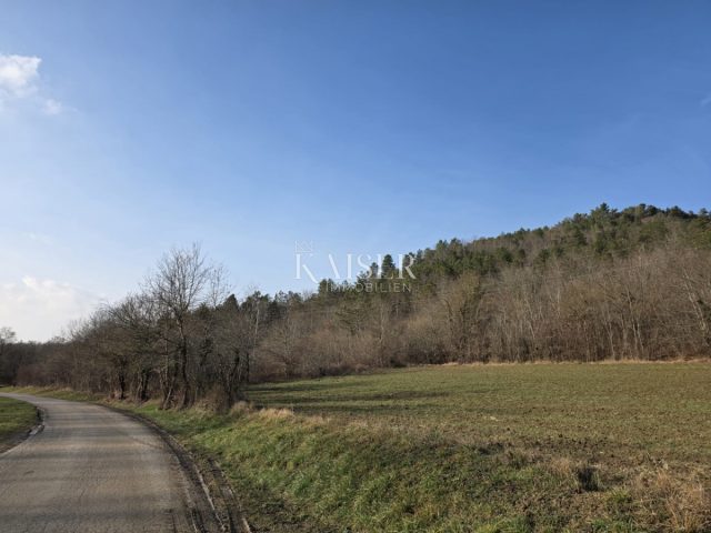 Pozemok na predaj 37000 m² – Motovun