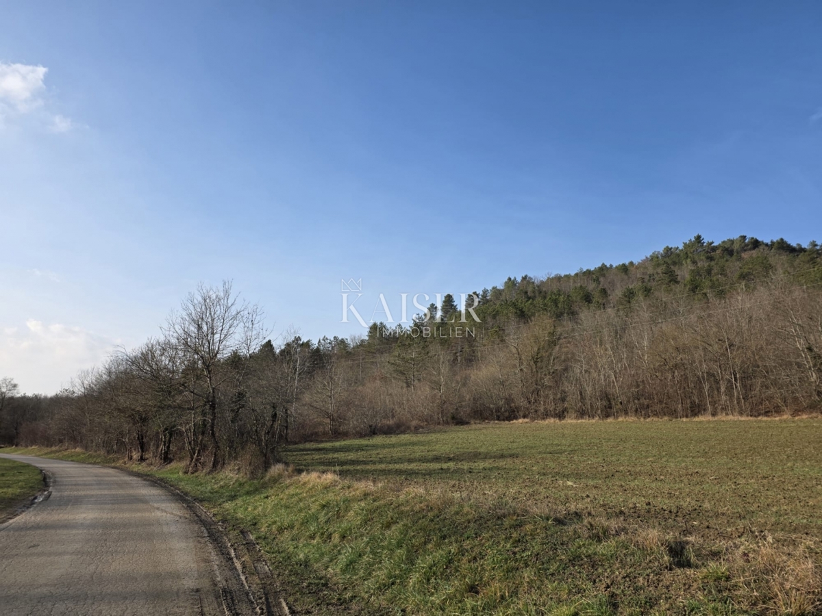 Parcela Na predaj - Istarska Motovun - foto 1/3