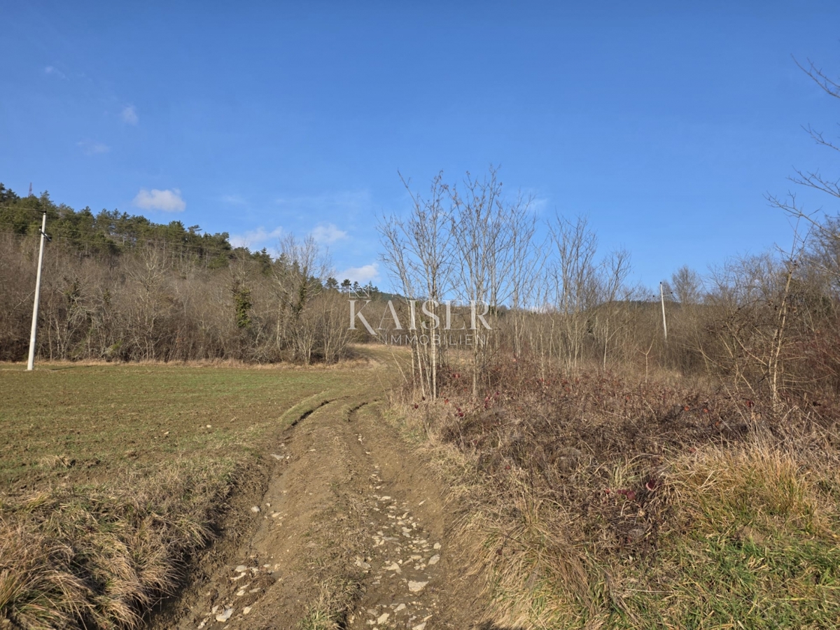Parcela Na predaj - Istarska Motovun - foto 3/3