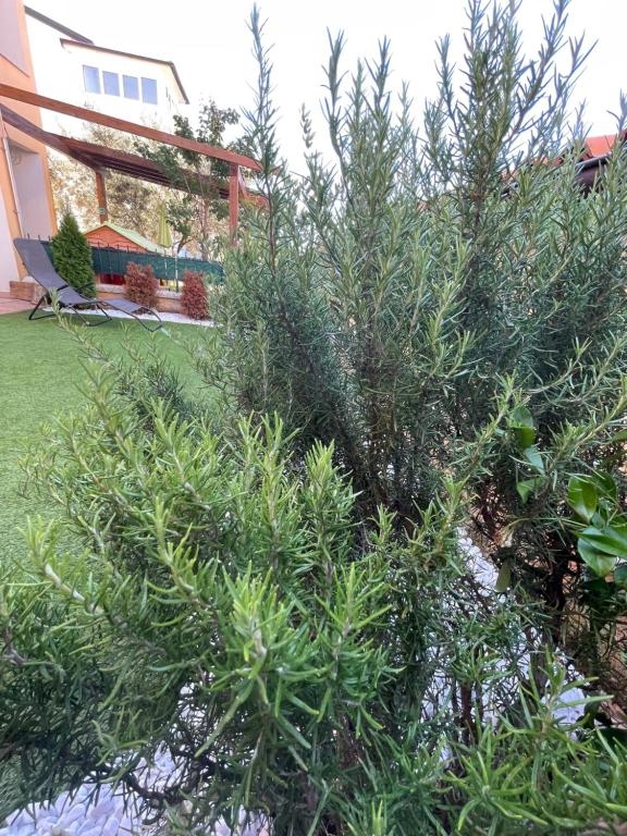 Apartmán Na predaj - Istarska Vodnjan - foto 3/17