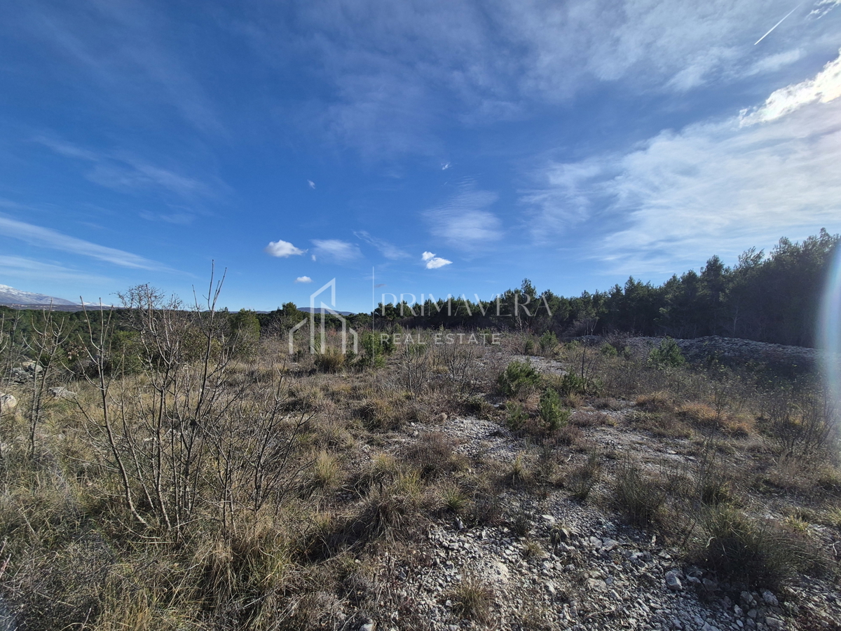 Land For sale - Zadarska Novigrad - foto 3/7