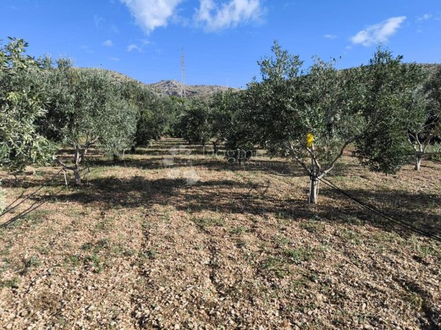 Parcela Naprodaj - Splitsko-dalmatinska Trogir - foto 2/3
