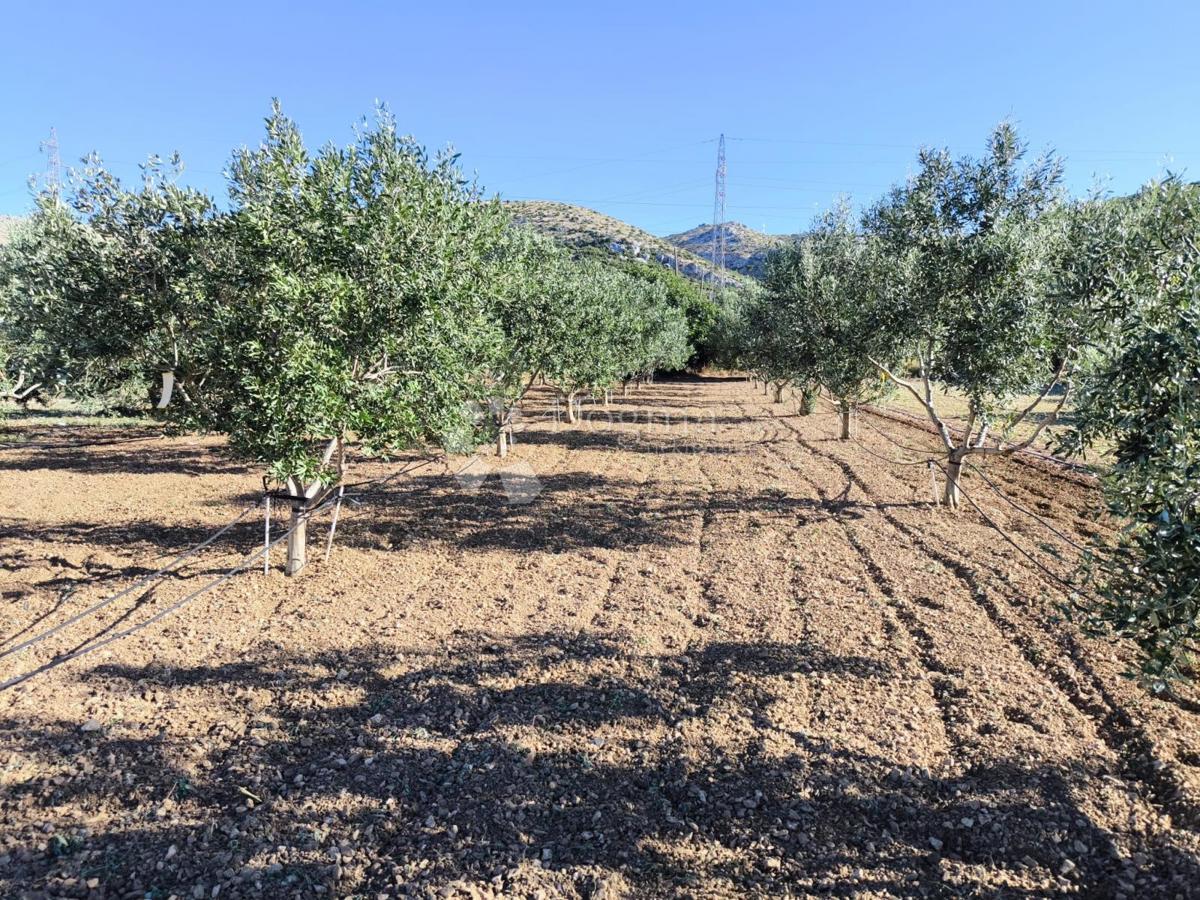 Terreno In vendita - Splitsko-dalmatinska Trogir - foto 3/3