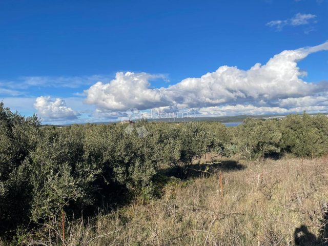 Land For sale - Zadarska Pašman - foto 2/3