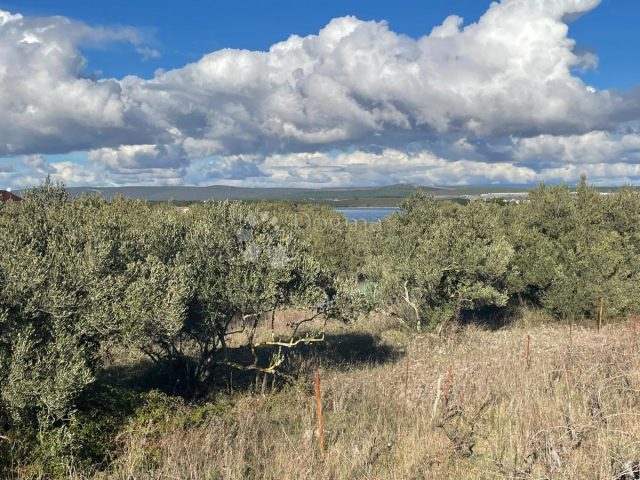 Land For sale - Zadarska Pašman - foto 3/3