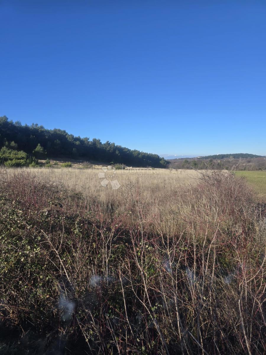 Land For sale - Zadarska Benkovac - foto 2/7