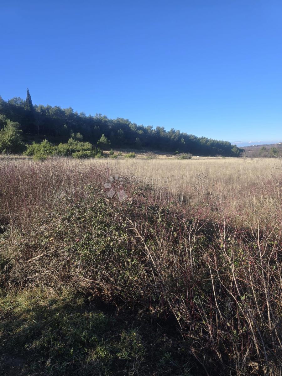 Land For sale - Zadarska Benkovac - foto 3/7